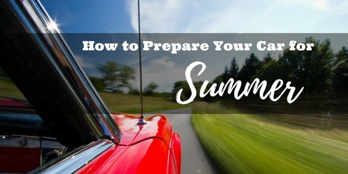 canterburys summer tips